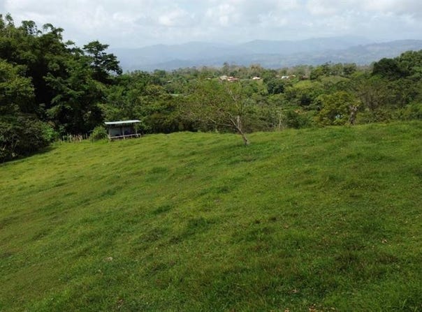 El Sauce s/n, Santa Teresita, Turrialba, Cartago, Turrialba, Cartago 30505
