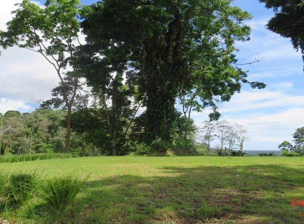 Punta Riel, Cahuita, Limón Province