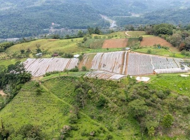 Turrialba, Turrialba, Cartago, Turrialba, Cartago