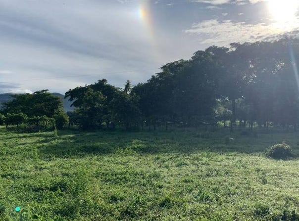 La Garita Nueva , Tamarindo, Santa Cruz, Guanacaste, Santa Cruz, Guanacaste 50309