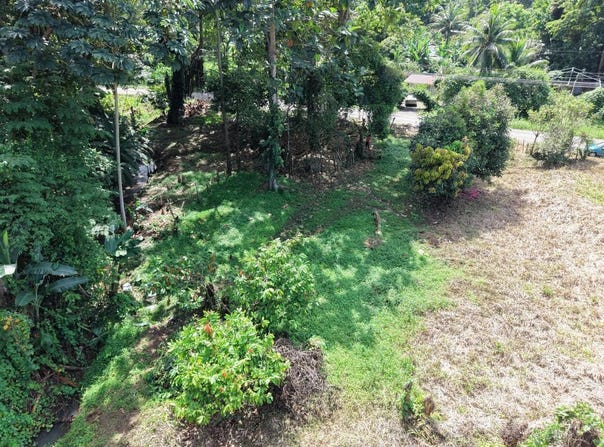 J6W2+HP, Cahuita, Limón Province