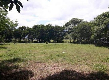 Avenida 1 Finquitas, Piedades, San José Province 10905