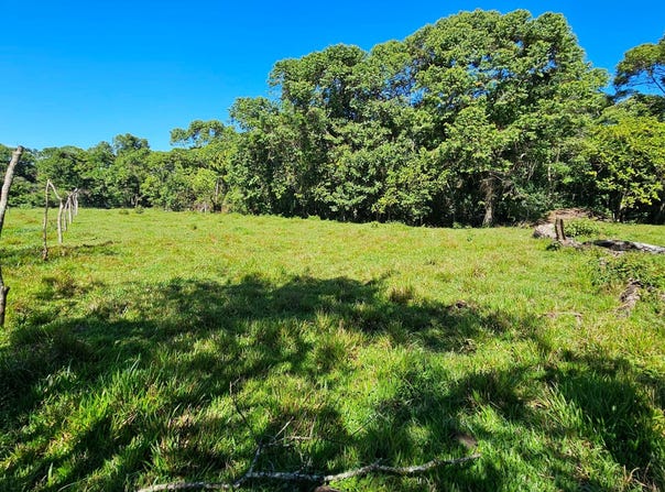 Permaculture Lot 1, Santa Elena, Puntarenas Province 11902