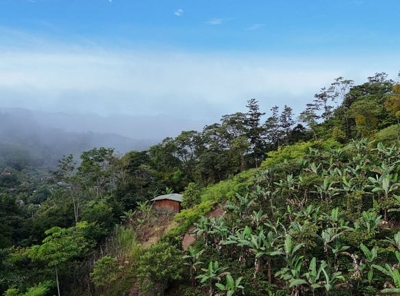 Lote en Chimirol.: Mountain Home Construction Site For Sale in Buena Vista, Buena Vista, San José