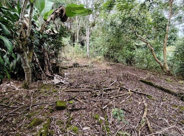 Peñas Blancas, General Viejo, Perez Zeledon, Costa Rica, Pérez Zeledón, San José, Pérez Zeledón, San José