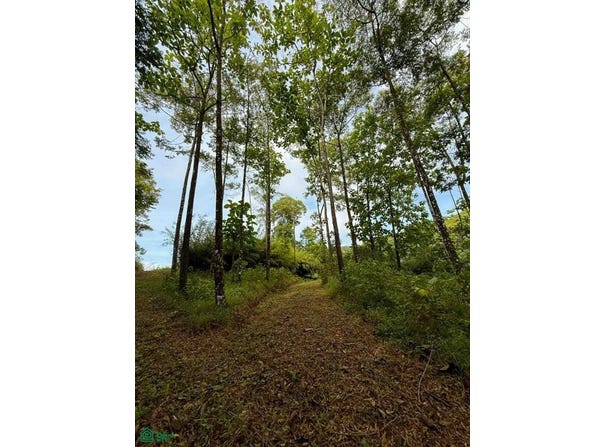 Flat Ocean View Lot in Gated Community , Dominical, Quepos, Puntarenas, 11909, Puntarenas 11909