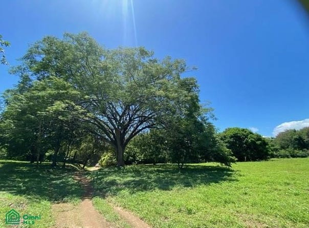 Hacienda Ruiseg Largo, Liberia, Liberia, Guanacaste, Liberia, Guanacaste 50101
