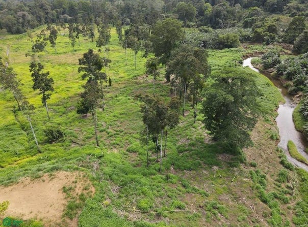 ruta 256 s/n, Cahuita, Talamanca, Limon, Talamanca, Limon 70403