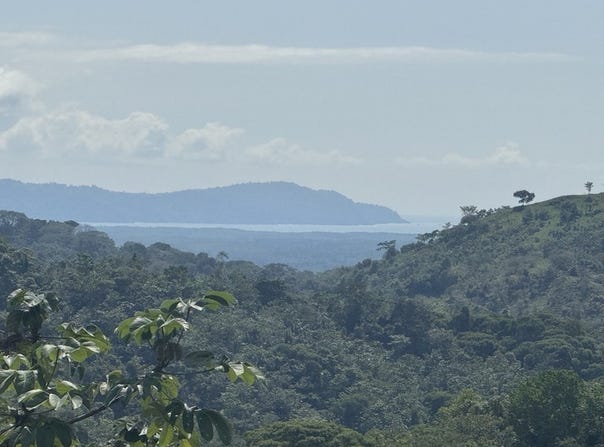 12 Acre Ocean View Farm in a Private Agricultural Community, Ojochal, Puntarenas