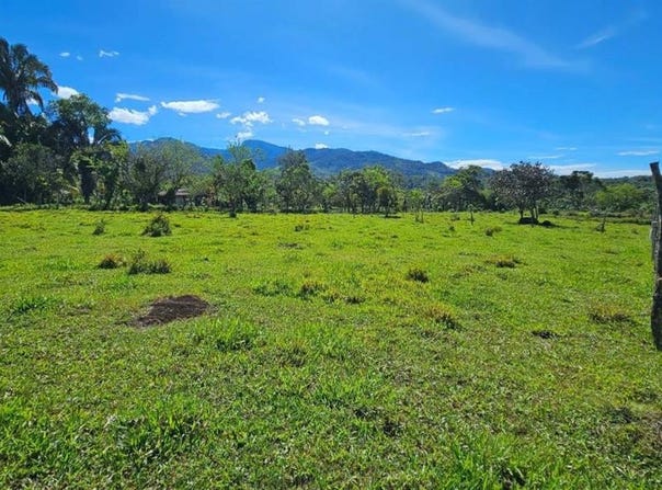 Permaculture Lot 2 , General, Perez Zeledon, San Jose, Perez Zeledon, San Jose 11902