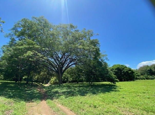 Hacienda Ruiseg Largo: A 784-Acre Ranch in the Heart of Guanacaste, Costa Rica â€“ Your Ideal Investment Opportunity, Liberia, Guanacaste 50101