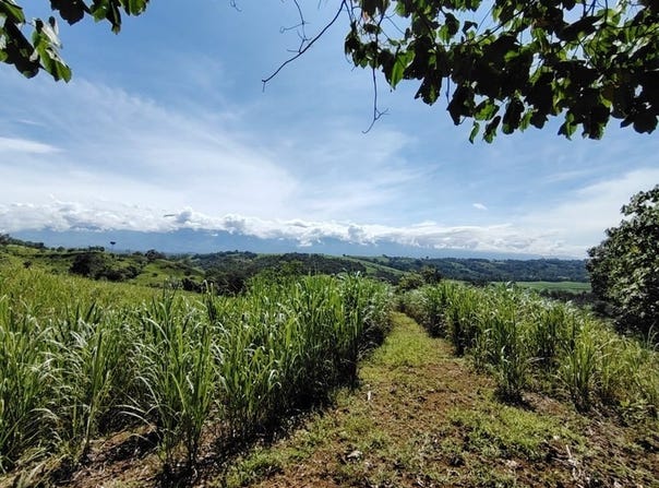 SE VENDE PROPIEDAD EN CAJí“N, COSTA RICA.: Mountain Home Construction Site For Sale in Cajón, Cajón, San José