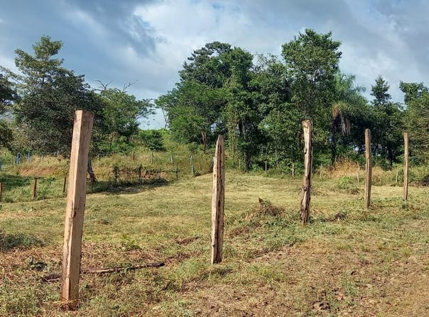 Lagunillas, Garabito, Garabito, Puntarenas, Garabito, Puntarenas