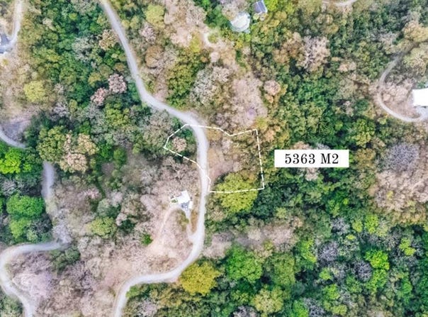 finca montania , Nosara, Nicoya, Guanacaste, Nicoya, Guanacaste 50206