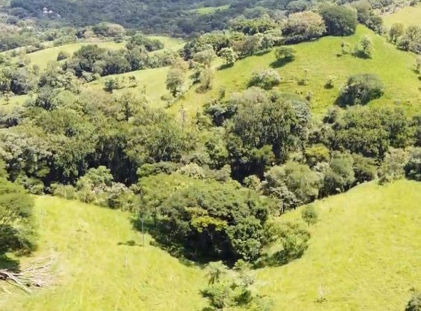 Alajuela, San Mateo, Desmonte, San Mateo, Alajuela, San Mateo, Alajuela