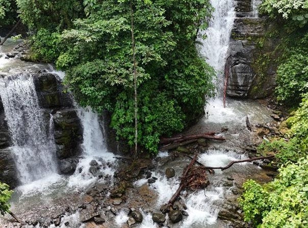 Unnamed Road, Savegre de Aguirre, Puntarenas Province