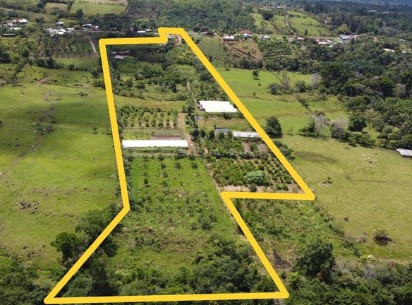 Se vende lote agrícola, en Cajón, Perez Zeledon.: Mountain Home Construction Site For Sale in Cajón, Cajón, San José