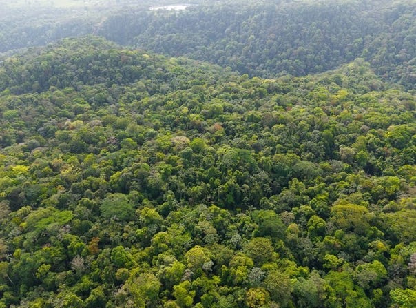 Finca Gran Bijagua: Breathtaking 10-Hectare Mountain Sanctuary in Bijagua, Costa Rica, Bijagua, Alajuela 21304