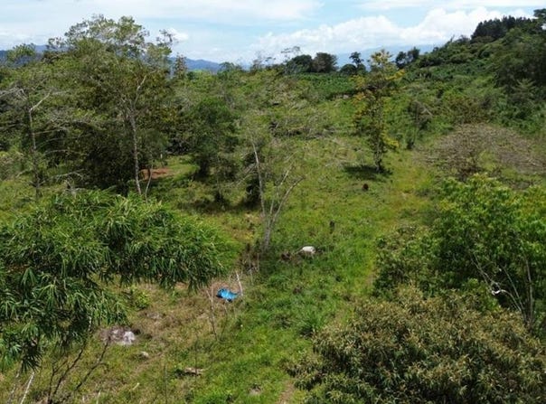 Montesión s/n, Tuis, Turrialba, Cartago, Turrialba, Cartago 30507
