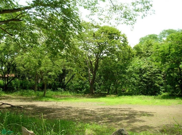 Walking Distance Beachside Corner Lot with Water , Playa Hermosa, Carrillo, Guanacaste, Carrillo, Guanacaste