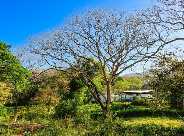 X86V+62, Guanacaste Province, Nosara, Costa Rica, Nicoya, Guanacaste Province