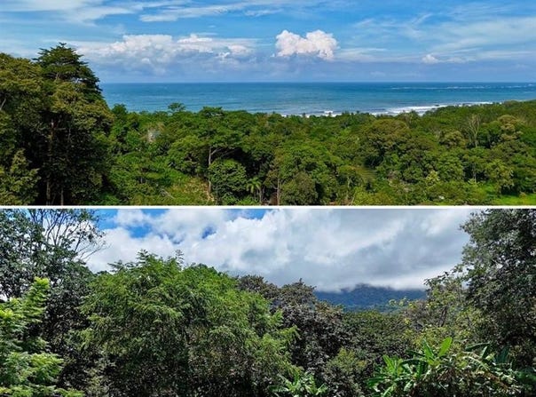 Barrio la colonia s/n, Bahía Ballena, Osa, Puntarenas, Osa, Puntarenas