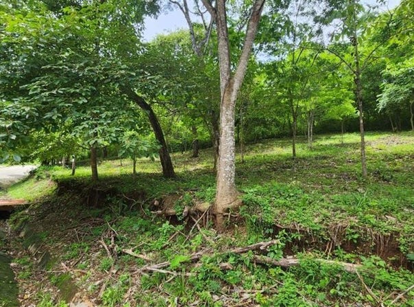 s/n, Tempate, Santa Cruz, Guanacaste, Santa Cruz, Guanacaste 50304