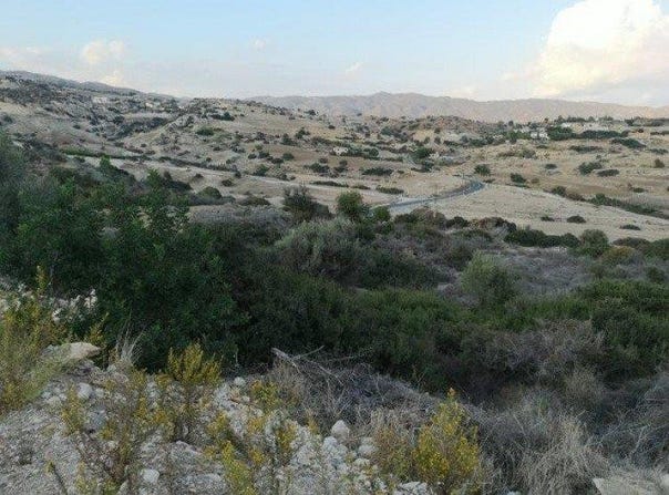 Vása, Limassol