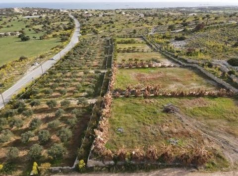 Larnaca, Larnaca