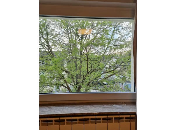 Richardstraße, Düsseldorf, North Rhine-Westphalia 40231