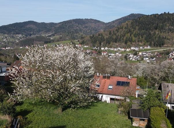 Bühlertal, Baden-Württemberg 77830