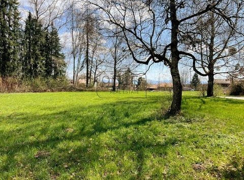 Berg, Dietramszell / Berg, Bayern 83623