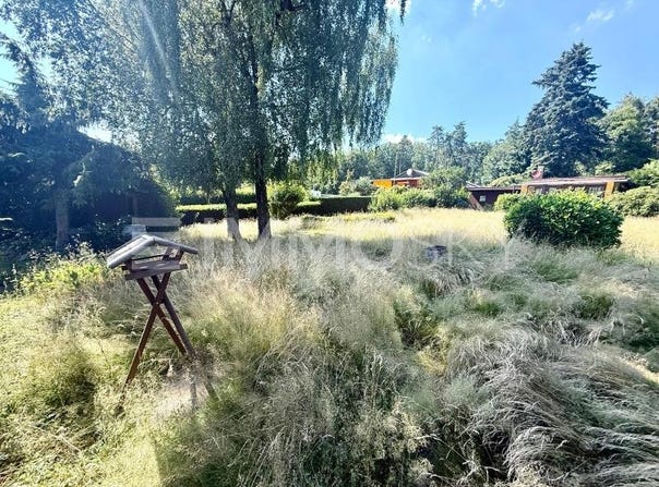 Kelkheim (Taunus), Hessen 65779