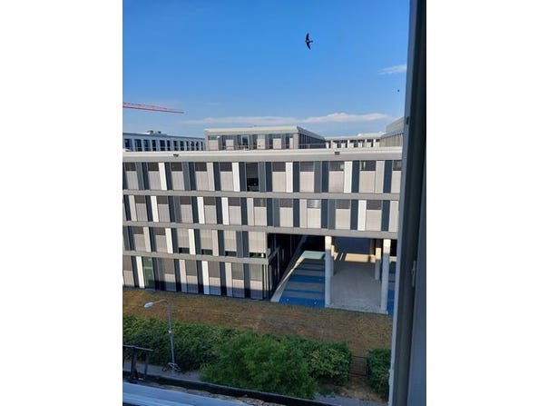 Roonstraße, 9, Ludwigshafen am Rhein, Rheinland-Pfalz 67061