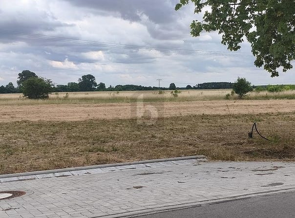 Dreiheide, Saxony 4860