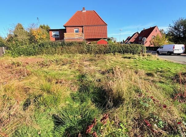Wilster, Schleswig-Holstein 25554