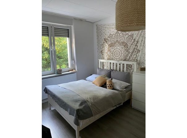 Feldstraße, 64, Herten, Nordrhein-Westfalen 45699