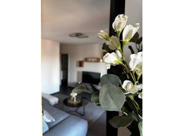 Maastrichter Straße, 42, Neuss, Nordrhein-Westfalen 41464