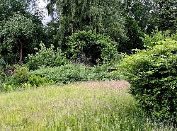 Rellingen, Schleswig-Holstein 25462