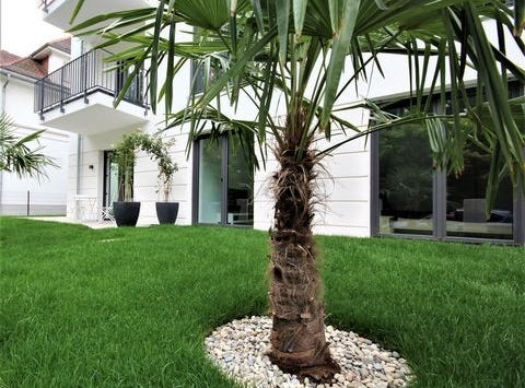 Dreieichring, 60, Offenbach am Main, Hessen 63067