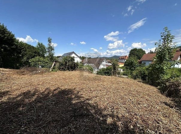 Friesenheim, Baden-Württemberg 77948