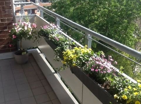 Höppnerstraße, 101, Krefeld, Nordrhein-Westfalen 47809
