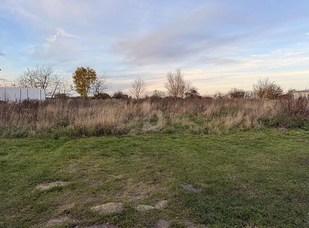 Langenberg, North Rhine-Westphalia 33449