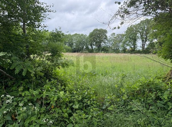Lutzhorn, Schleswig-Holstein 25355