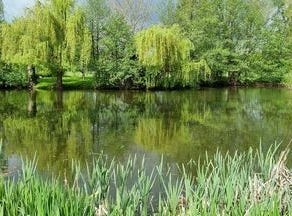 Am Teich, 10, Harsum, Niedersachsen 31177