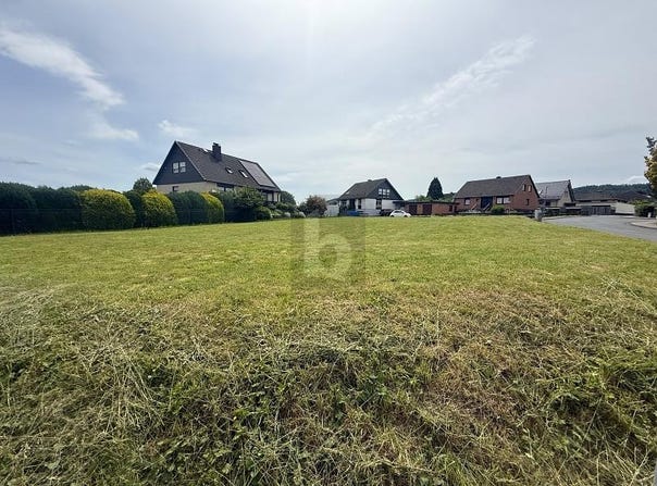 Salzhemmendorf, Lower Saxony 31020