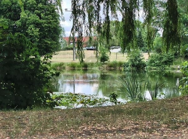Dreiheide, Saxony 4860