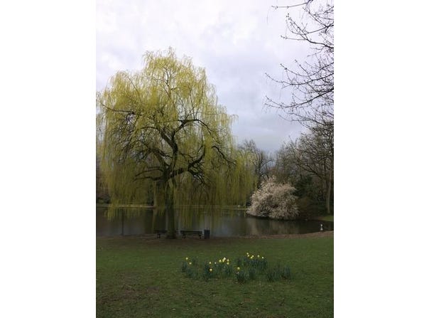 Am Stadtgarten, 1, Gelsenkirchen, Nordrhein-Westfalen 45879