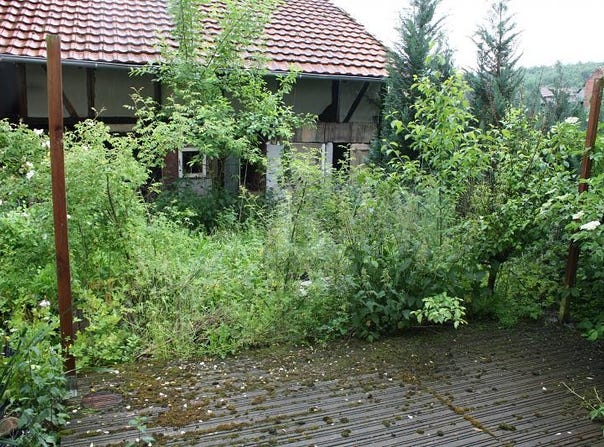 Herzberg am Harz, Lower Saxony 37412