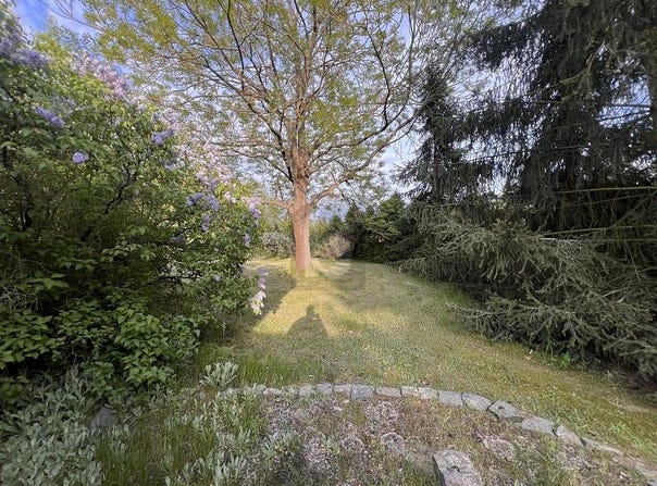 Schildau, Saxony 4889